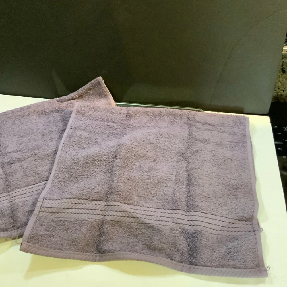 Chris Madden Home Hand Towels Purple Moon Set of 2 Egyptian Cotton Set of 2